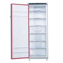 Gaxeta Porta Freezer Vertical GE Double Integration FZGE320