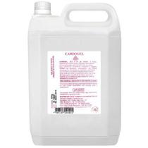 Gel Condutor 5Kg Plurigel - Carbogel