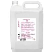 Gel Condutor para ultrassom 5 Kg - Carbogel Gel Condutor para ultrassom 5 Kg - Carbogel