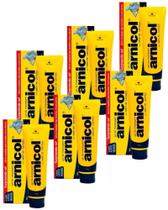 GEL DE MASSAGEM COM SEBO DE CARNEIRO ARNICOL 150gr DEMAZON KIT COM 6 UND