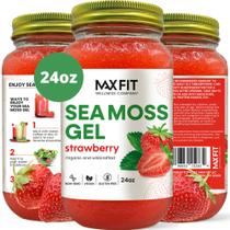 Gel de Musgo Marinho Orgânico MAX FIT - 710ml - Cru e Feito em Santa Lúcia Gel de Musgo Marinho Orgânico MAX FIT - 710ml - Cru e Feito em Santa Lúcia