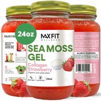 Gel de Musgo Marinho Orgânico MAX FIT - Cru - 700ml - Santa Lúcia
