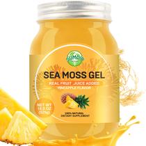 Gel de musgo marinho SumDip com sabor cru Irish Seamoss 550 ml