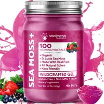 Gel de musgo marinho WELLNESS LABSRX Organic Raw Mix Berry 300ml