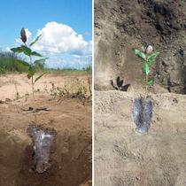 Gel de Plantio Hidrogel Agricola Pac C/ 6KG