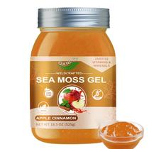Gel de Sea Moss QANLOI Sabor Maçã com Canela 525 g Suplemento Gel de Sea Moss QANLOI Sabor Maçã com Canela 525 g Suplemento