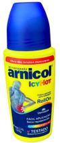 GEL MASSAGEADOR ARNICOL ICYHOT ROLLON 120gr DEMAZON