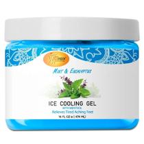 Gel refrescante de massagem SPA REDI Mint Eucalyptus com mentol 480 ml Gel refrescante de massagem SPA REDI Mint Eucalyptus com mentol 480 ml