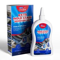 Gel Removedor de Manchas W&E Choice 260 ml Fórmula Sem Esfregar Gel Removedor de Manchas W&E Choice 260 ml Fórmula Sem Esfregar