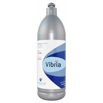 Gel Vibria Redutor 1 Kg com Princípios Ativos para Ultrassom Estética
