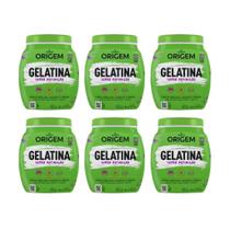 Gelatina Capilar Origem 400G Super Definiçao - Kit Com 6Un