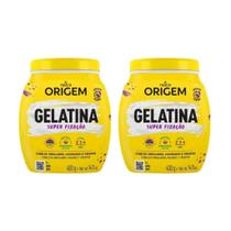 Gelatina Capilar Origem 400G Super Fixacao - Kit Com 2Un