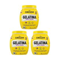 Gelatina Capilar Origem 400G Super Fixacao - Kit Com 3Un