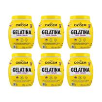 Gelatina Capilar Origem 400G Super Fixacao - Kit Com 6Un