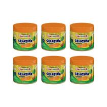 Gelatina Capilar Probelle Super Bonita 500G Carinho Abac 6Un