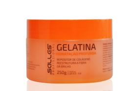 Gelatina Capilar Salles Profissional 250g