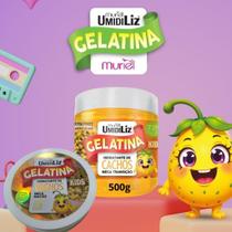 Gelatina de Maracuja da Muriel - Umidiliz - Original Gelatina de Maracuja da Muriel - Umidiliz - Original