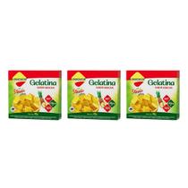 Gelatina Diet Plus Abacaxi Com Stevia 10g Lowçucar Kit 3 Sobremesa Zero Açúcar Preparo Prático