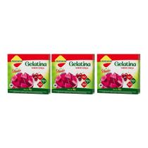 Gelatina Diet Plus Cereja Com Stevia 10g Lowçucar Kit 3 Sobremesa Zero Açúcar Preparo Prático