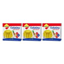Gelatina Diet Vit C Abacaxi 10g Lowçucar Kit 3 Sobremesa Zero Açúcar Preparo Prático