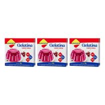 Gelatina Diet Vit C Cereja 10g Lowçucar Kit 3 Sobremesa Zero Açúcar Preparo Prático