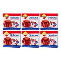 Gelatina Diet Vit C Frutas Vermelhas 10g Lowçucar Kit 6 Sobremesa Zero Açúcar Preparo Prático