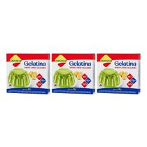 Gelatina Diet Vit C Limão Siciliano 10g Lowçucar Kit 3 Sobremesa Zero Açúcar Preparo Prático