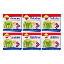 Gelatina Diet Vit C Limão Siciliano 10g Lowçucar Kit 6 Sobremesa Zero Açúcar Preparo Prático
