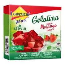 Gelatina em Pó Sabor Morango Lowçucar 10g Gelatina em Pó Sabor Morango Lowçucar 10g