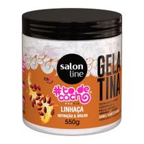 Gelatina Linhaça todecacho Definição e Brilho Salon Line 550g