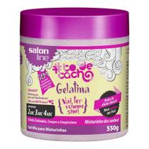 Gelatina Salon Line Todecachos 500g