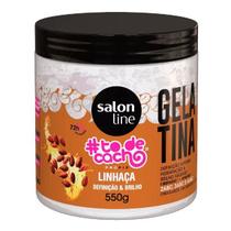 Gelatina Todecachos Linhaça Salon line 550g