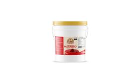 Geleia de Brilho Morango 4kg - Vó Martinha Geleia de Brilho Morango 4kg - Vó Martinha