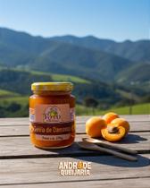 Geleia de Damasco 270g - Sabor Tradicional da Vovó de São Lourenço Geleia de Damasco 270g - Sabor Tradicional da Vovó de São Lourenço