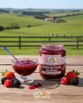 Geleia de Frutas Vermelhas 270g Geleia de Frutas Vermelhas 270g