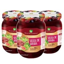Geleia de Goiaba SÃO LOURENÇO 210g (3 unidades) Geleia de Goiaba SÃO LOURENÇO 210g (3 unidades)