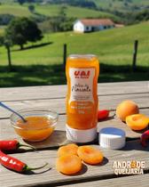 Geleia de Pimenta com Damasco - 260g Geleia de Pimenta com Damasco - 260g