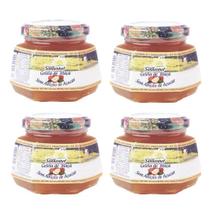 Geleia Diet De Maçã Natural 4 Potes 270g Fazenda Sonnenhof