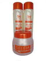 Geléia Real Kit com Shampoo + Condicionador 300ml + Máscara 250g Well Hair