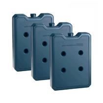 Gelo Artificial Rígido Gelo-x placa Reutilizável 500ml 17x10x3cm Clio Gel Combo com 3 peças