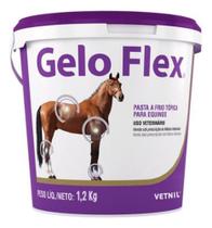 Gelo Flex 1,2kg Pasta A Frio Tópica Equinos Cavalos Vetnil