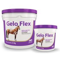 Gelo Flex 1,2kg - Pasta A Frio Tópica Equinos - Vetnil