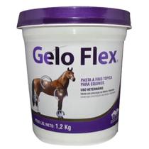 Gelo Flex 1,2kg Vetnil- Pasta a frio tópica para equinos