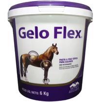 Gelo Flex 6kg Vetnil- Pasta a frio tópica para equinos