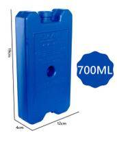 Gelo Gel Artificial Reutilizável 700ml c/01 Unidade Gelo Gel Artificial Reutilizável 700ml c/01 Unidade