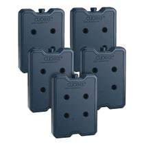 Gelo Reutilizável Rigido 1 Litro 1050ml Clio Gel Bebidas Alimentos Vacinas Veterinário Pescaria