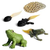 Gemini&Genius Life Cycle of Frog Figurines, Insect Growth Diary Action Figures, Super Fun for Learning Gifts, Party Favors, Treasure Box Prizes, Goodie Bag Fillers, Family Fun