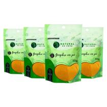 Gengibre em Pó Qualidade Superior Sabor Autentico 100% Natural Kit 4 Pouch 50g