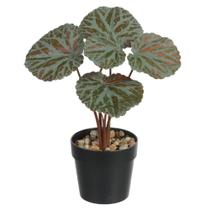 Geranio toque real permanente c/ pote x5 verde purpura 24cm