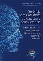 Gerência sem catástrofe ou catástrofe sem gerência